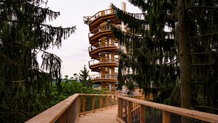 Baumwipfelpfad